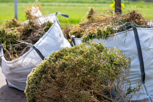 Reliable New Paris, IN Junk Removal Services Solutions